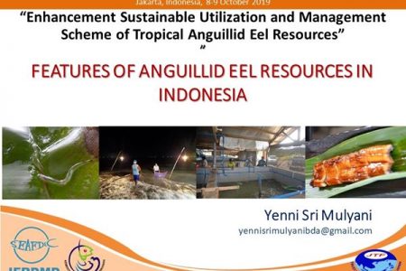 Features Of Anguillid Eel Resource in Indonesia